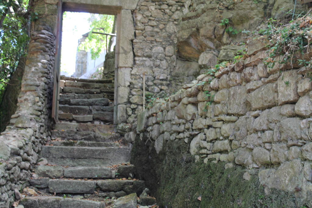 L'Ecrin D'Osely Bed & Breakfast Lodève Exterior foto