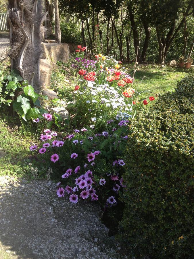 L'Ecrin D'Osely Bed & Breakfast Lodève Exterior foto